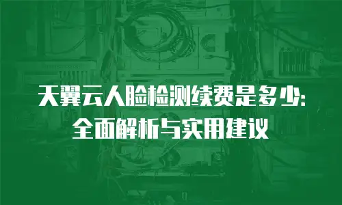 天翼云人脸检测续费是多少：全面解析与实用建议
