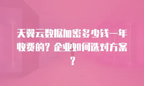 天翼云数据加密多少钱一年收费的？企业如何选对方案？