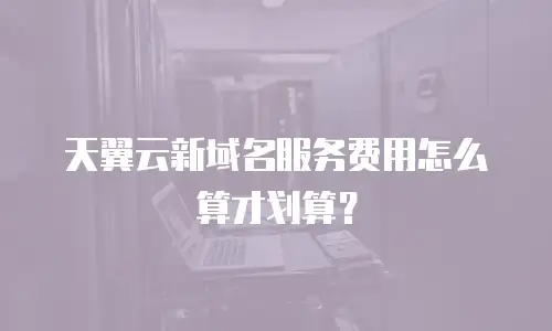 天翼云新域名服务费用怎么算才划算？