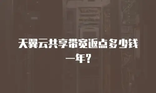 天翼云共享带宽返点多少钱一年？