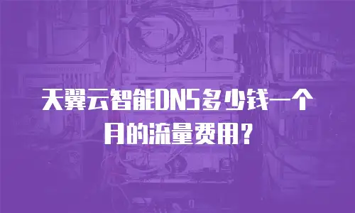 天翼云智能DNS多少钱一个月的流量费用？