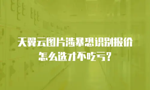 天翼云图片涉暴恐识别报价怎么选才不吃亏？