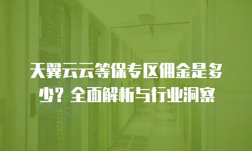 天翼云云等保专区佣金是多少？全面解析与行业洞察
