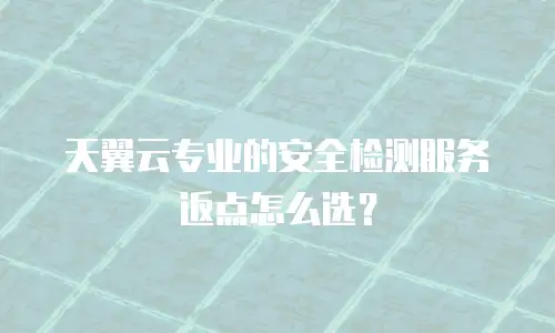 天翼云专业的安全检测服务返点怎么选？