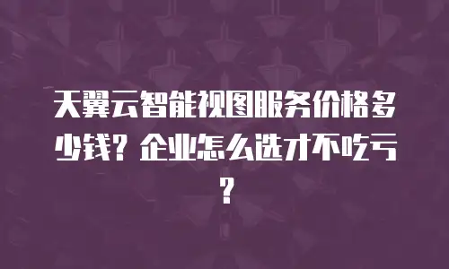 天翼云智能视图服务价格多少钱？企业怎么选才不吃亏？