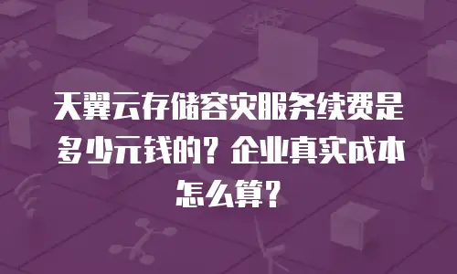 天翼云存储容灾服务续费是多少元钱的？企业真实成本怎么算？