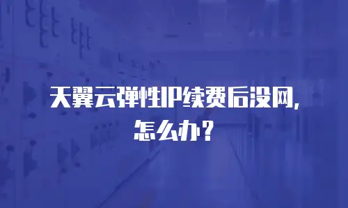 天翼云弹性IP续费后没网，怎么办？