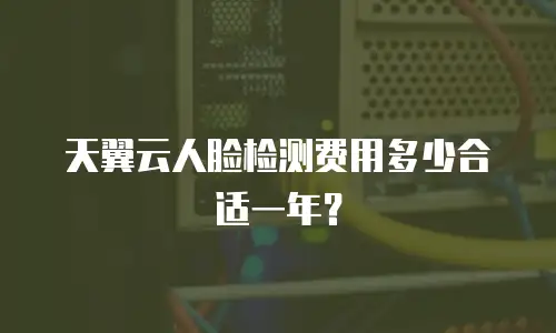 天翼云人脸检测费用多少合适一年？