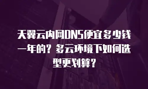 天翼云内网DNS便宜多少钱一年的？多云环境下如何选型更划算？