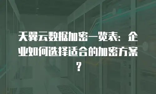 天翼云数据加密一览表：企业如何选择适合的加密方案？