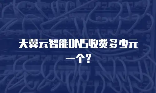 天翼云智能DNS收费多少元一个？