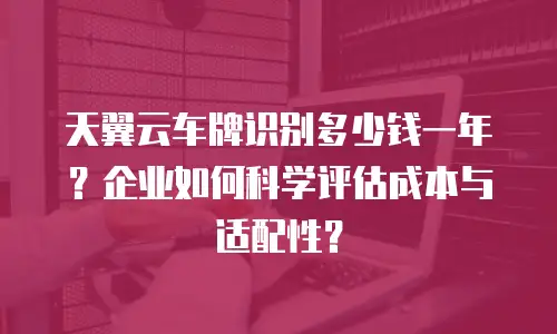 天翼云车牌识别多少钱一年？企业如何科学评估成本与适配性？