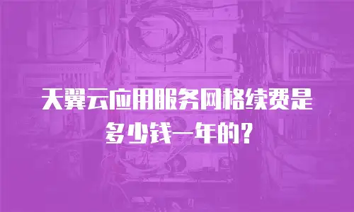 天翼云应用服务网格续费是多少钱一年的？