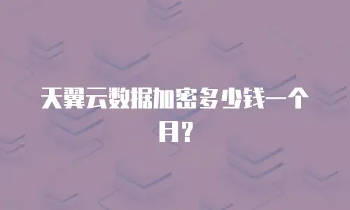 天翼云数据加密多少钱一个月？