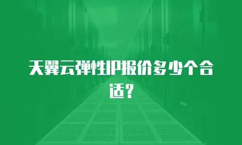 天翼云弹性IP报价多少个合适？