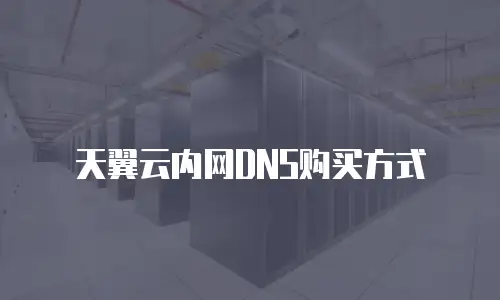 天翼云内网DNS购买方式