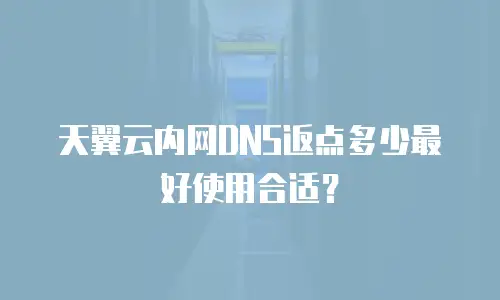 天翼云内网DNS返点多少最好使用合适？