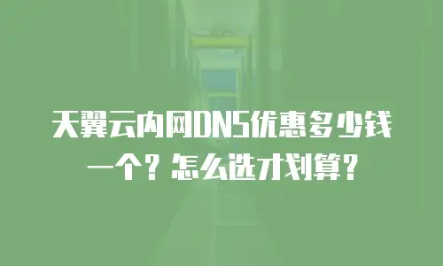 天翼云内网DNS优惠多少钱一个？怎么选才划算？