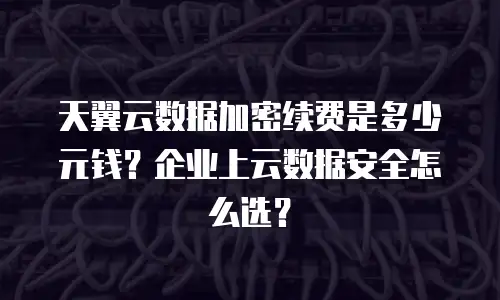 天翼云数据加密续费是多少元钱？企业上云数据安全怎么选？