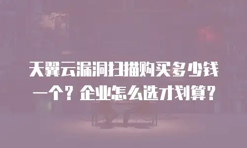 天翼云漏洞扫描购买多少钱一个？企业怎么选才划算？