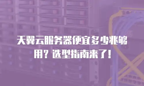 天翼云服务器便宜多少兆够用？选型指南来了！