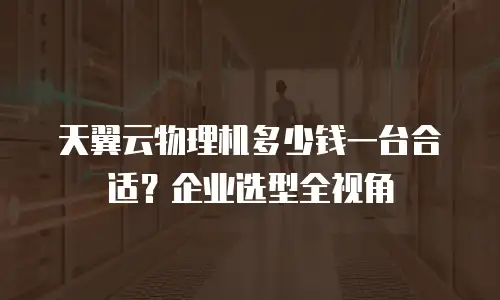 天翼云物理机多少钱一台合适？企业选型全视角