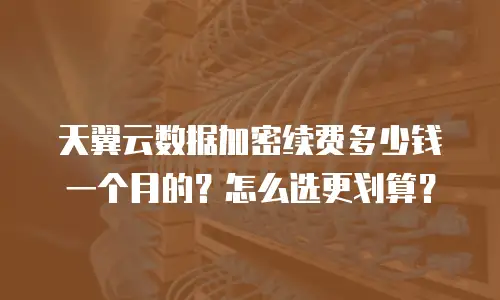 天翼云数据加密续费多少钱一个月的？怎么选更划算？