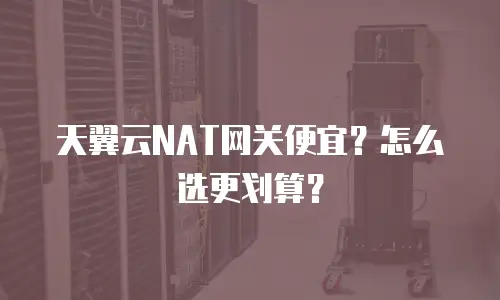 天翼云NAT网关便宜？怎么选更划算？