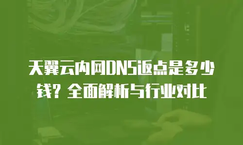天翼云内网DNS返点是多少钱？全面解析与行业对比