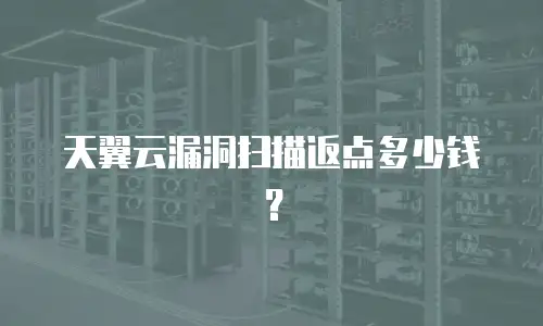 天翼云漏洞扫描返点多少钱？