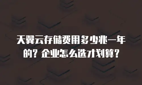 天翼云存储费用多少兆一年的？企业怎么选才划算？