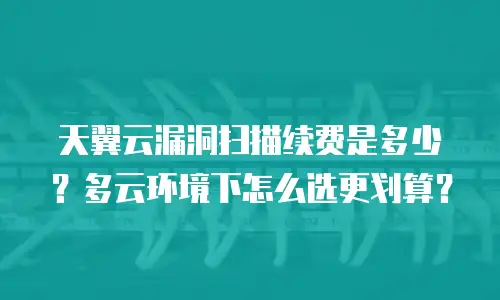 天翼云漏洞扫描续费是多少？多云环境下怎么选更划算？