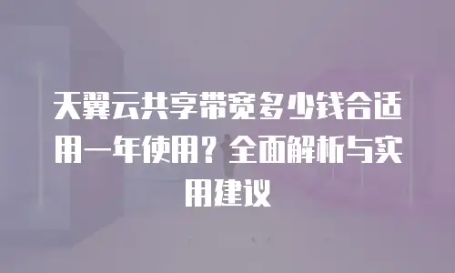 天翼云共享带宽多少钱合适用一年使用？全面解析与实用建议