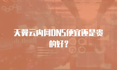 天翼云内网DNS便宜还是贵的好？