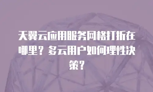 天翼云应用服务网格打折在哪里？多云用户如何理性决策？