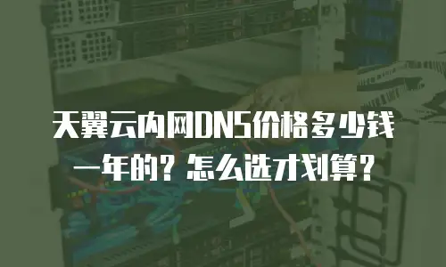 天翼云内网DNS价格多少钱一年的？怎么选才划算？