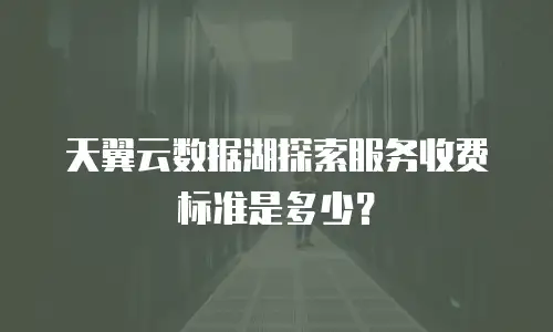 天翼云数据湖探索服务收费标准是多少？