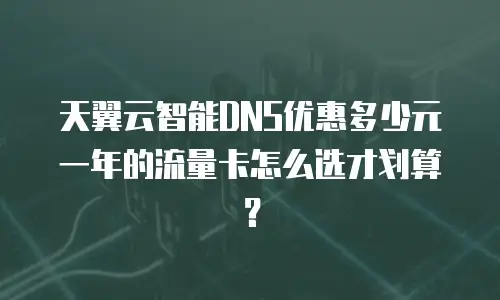 天翼云智能DNS优惠多少元一年的流量卡怎么选才划算？