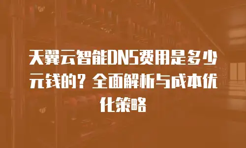 天翼云智能DNS费用是多少元钱的？全面解析与成本优化策略
