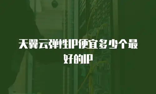 天翼云弹性IP便宜多少个最好的IP