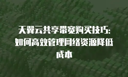 天翼云共享带宽购买技巧：如何高效管理网络资源降低成本