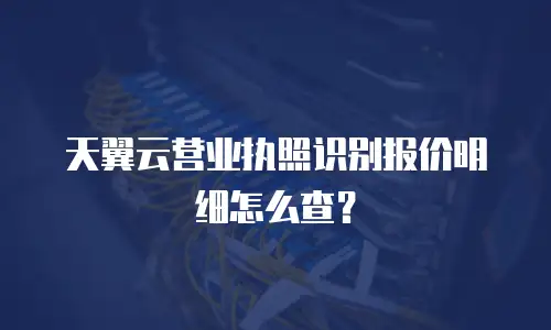 天翼云营业执照识别报价明细怎么查？