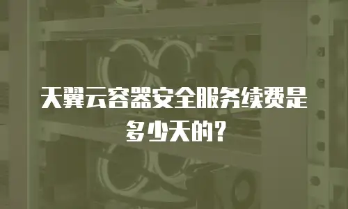 天翼云容器安全服务续费是多少天的？
