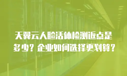 天翼云人脸活体检测返点是多少？企业如何选择更划算？