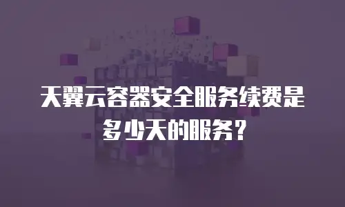 天翼云容器安全服务续费是多少天的服务？