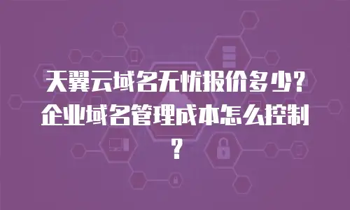 天翼云域名无忧报价多少？企业域名管理成本怎么控制？