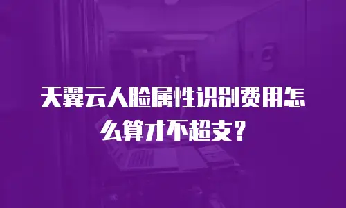 天翼云人脸属性识别费用怎么算才不超支？