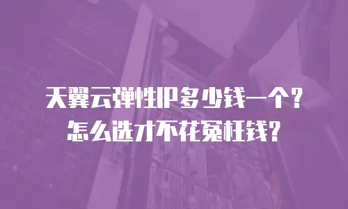 天翼云弹性IP多少钱一个？怎么选才不花冤枉钱？