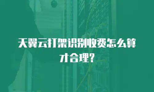 天翼云打架识别收费怎么算才合理？