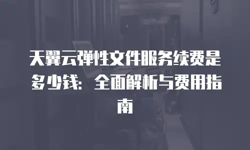 天翼云弹性文件服务续费是多少钱：全面解析与费用指南